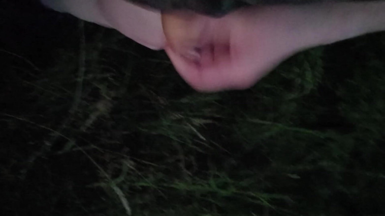 Player026: Nice Wank in the Park