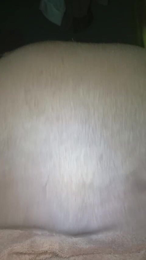 Africatrans: Kåta Tgirl Par Hårdhänt Knull.