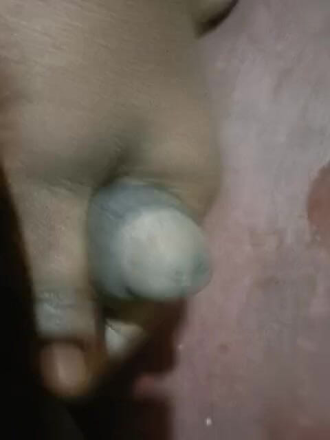 LegalVector8: Masturbation