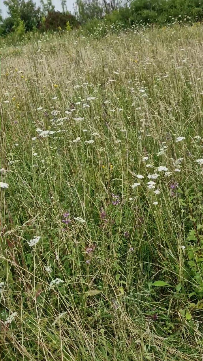 love angels from hell: Tak właśnie prawdziwa milf jedzie kutasa