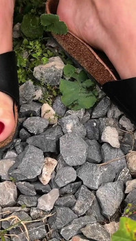 Birkenstock Teasing