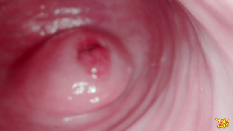 MollyRedWolf: Hey 의붓아들! 의 산부인과를 재생하자? Gyno, 내시경 검사 - Mollyredwolf