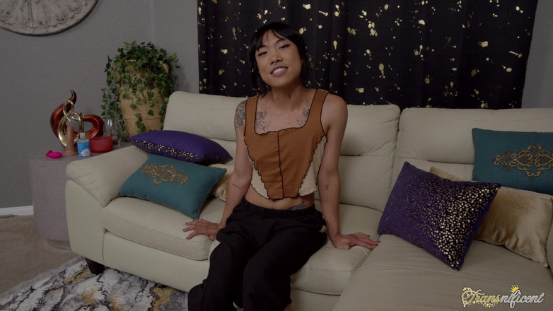 Transnificent: 你好哈鲁哈库！