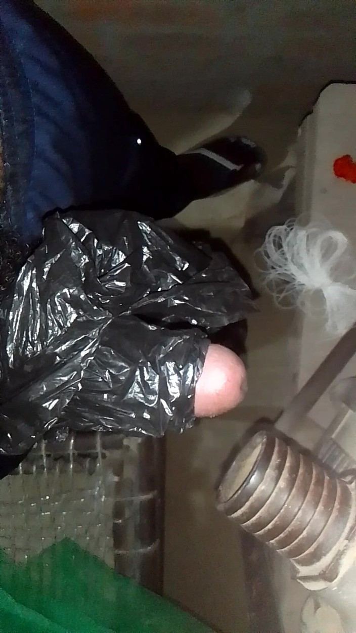 Aashiq: 新ヒンディー語 61 62