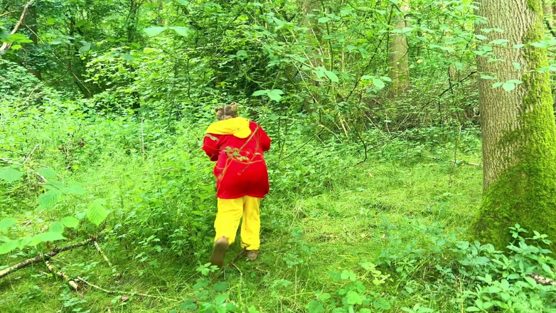 JessieHH: Winnie the Pooh Got Greedy and Stuck and Has to...
