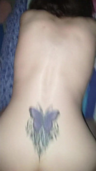Evening Sexy Butterfly