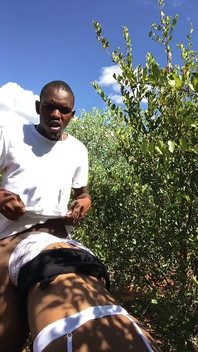 Šukání na farmě během polední přestávky.