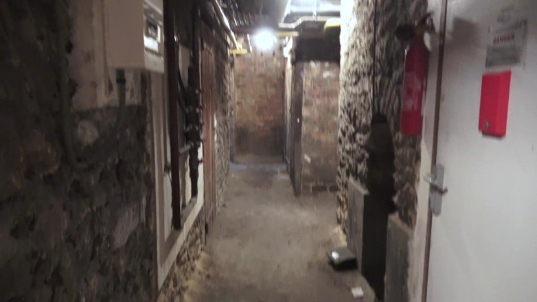 Rick Angel: Anal in a dirty cellar for french MILF Alice