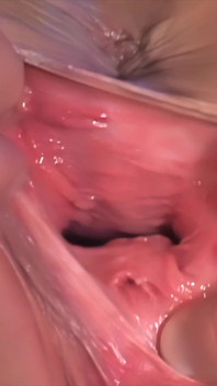 Ass Fucked Vol4