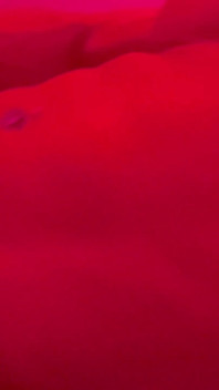 Brazilian Shemale Big Dick