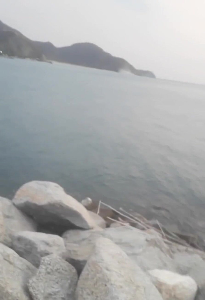 tunoviaputita: Hallo Papi, ich teile ein bisschen meiner reise nach Kolumbien...