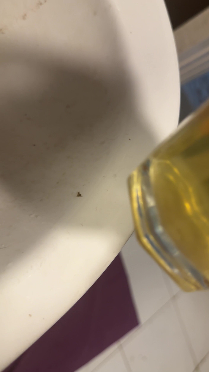 SweetLucy96: 유리잔에 오줌을 싸고 자위