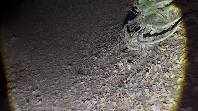 Putarankahotmilf: Noční turistika a svlékání většiny oblečení