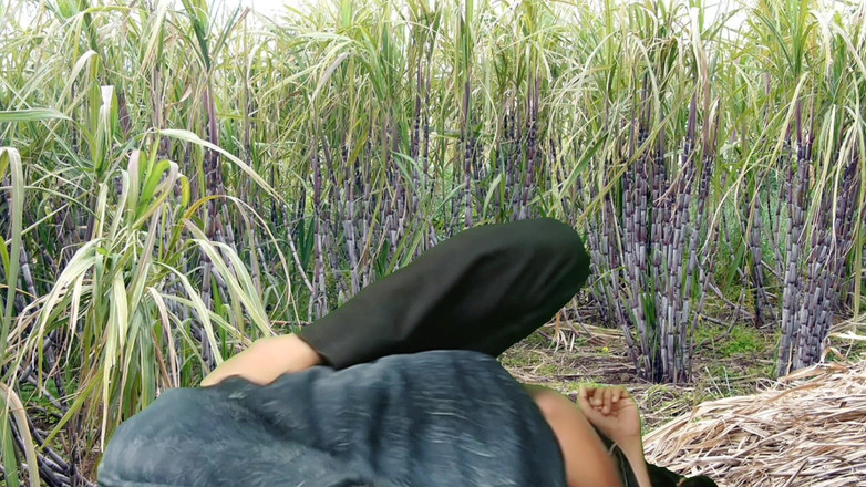 Rakul008: Follando en el campo de caña de azúcar