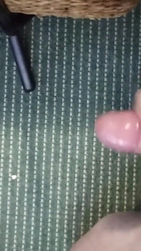 Knubbiga Wankers Dagböcker del 1