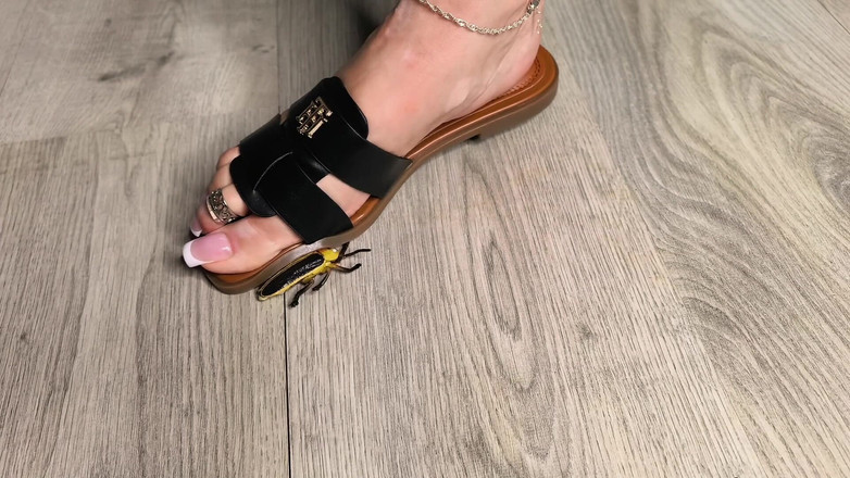 Goddess Lena: Bug Buster