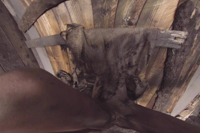 Xvirtual: X Virtual 19 il mostro dal bosco 180°