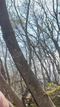 Anal in the Woods Part 1