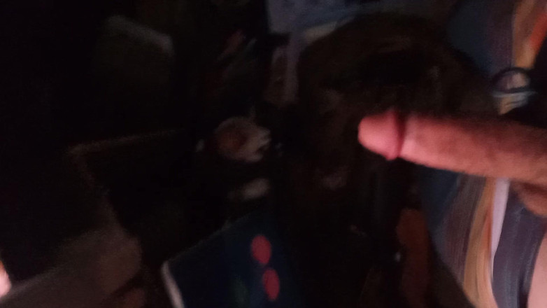 Lil Nicky: Güneş doğuşu