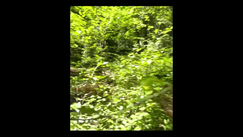 Suzy Wylde: 0 cewek kelaiman suzy wylde memohon memeknya untuk dicambuk