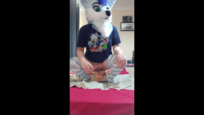 BlueHuskyuwu: Femboy Furry Pup грає зі своєю великою іграшкою