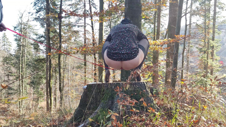 Toilet Mommy: Nel Disperato Tentativo Di Fare Pipì All'aperto Deve Fare Pipì...