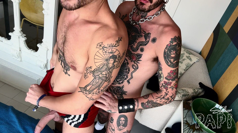 Stallion papi: Di dalam dan keras