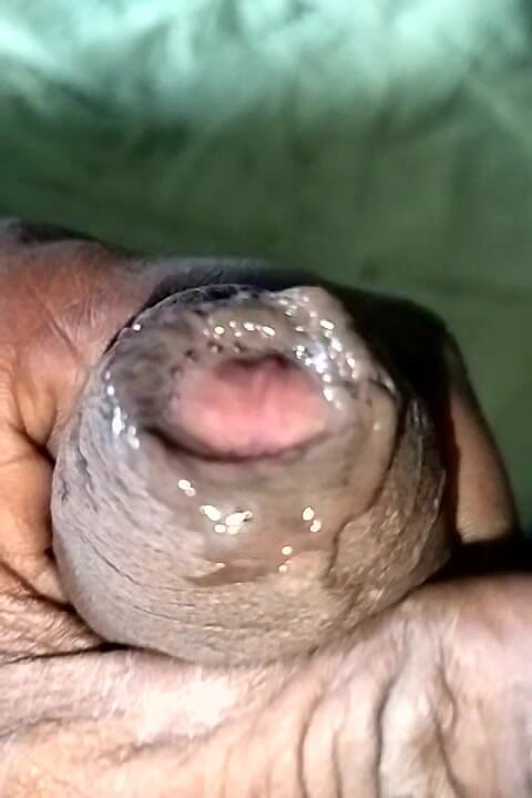 FrozenOpenair8: Bm brilantní