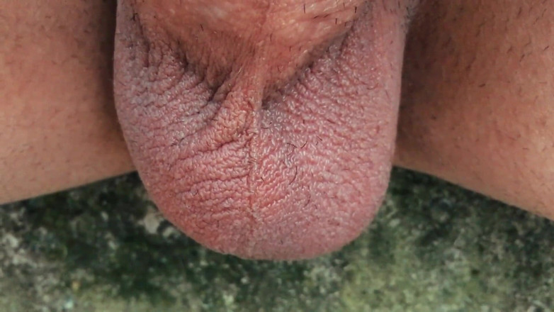 Idmir Sugary: Telur kembar di luar dalam cuaca sejuk - rakaman dekat telur...