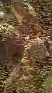 Kitty Marie et Lizzy Liques, des lesbiennes en plein air mangent des godes roses Gmrp_an08b