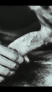 Vintage porn retro erotic theatre - glorious orgy
