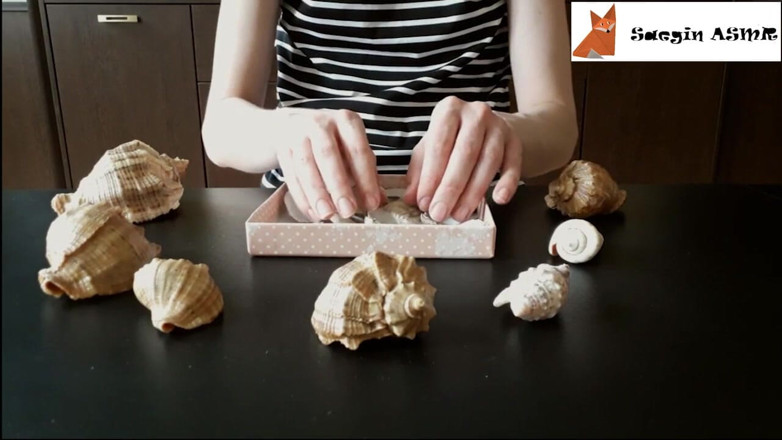 Saegin: 3[ASMR] Rubbing together and scratching seashells (no talking)