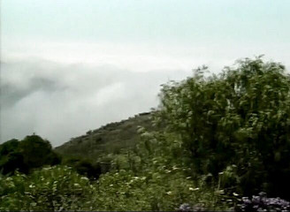 Public Lust: Awek blonde yang tidak dapat dibajak dubur di luar rumah