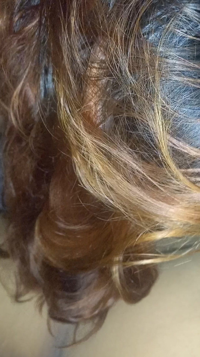 E-Alfa: B. 파티 후 자지 빨기