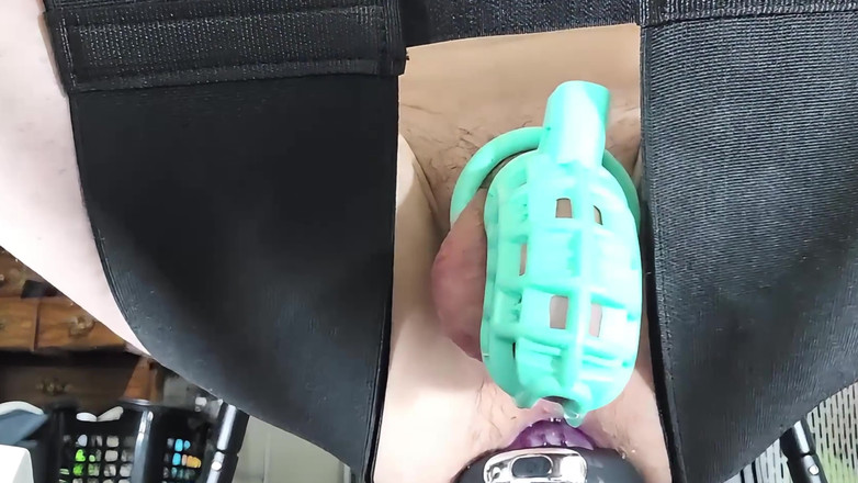 MericanPie: 그 둥에 바운스