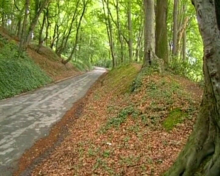 Deutsche Frauen: 赤毛のドイツ人女性が森の中で3人のランダムな男に犯される