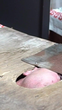 Step on the Face 1