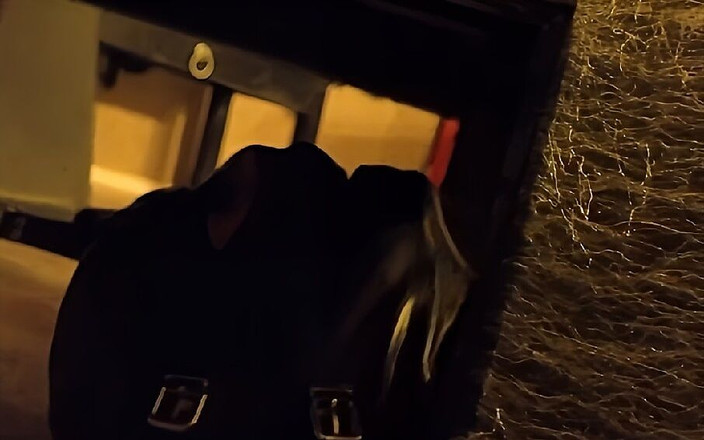 Hanna Engels: Hanna engels - गद्दी के नीचे प्रशिक्षित - पूरी प्रस्तुति स्पष्ट कमान से मिलती है