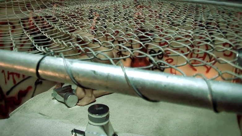 Sex All Together: Blonde fucked in a cage with many cocks to enjoy