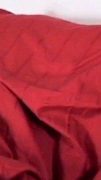 Vanity Lynn is a young blonde Asian in a very sexy red costume fucks with her partner even with her ass