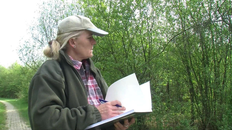 Erotic Club: Wild Sex Stories From the Woods!