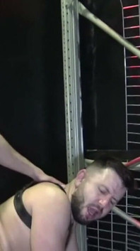 Oso sexy de abajo duro por peludo top boy