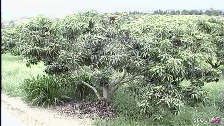 Shemale TS Collection: ホリデーの浮気屋外のブロンドニューハーフがお尻で激しく犯される