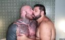 BTrucker77: Beefy Bears 4way (édition btrucker77)