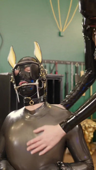Rubber Kucyk Play: Bridle up i Trening na bieżni