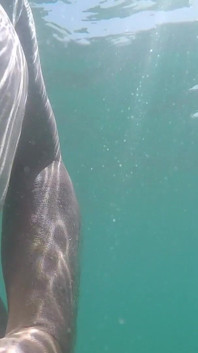Masturbation in the Sea