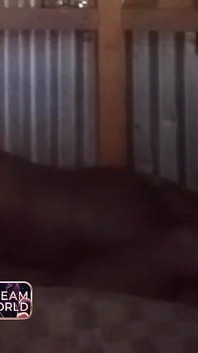 Hit cette chatte vraiment bien - elle en voulait de plus en plus