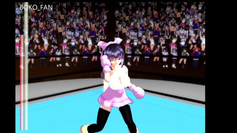 Boko Fan: Ultimatives kämpfenes mädchen Typ b (einfach) (boko877)