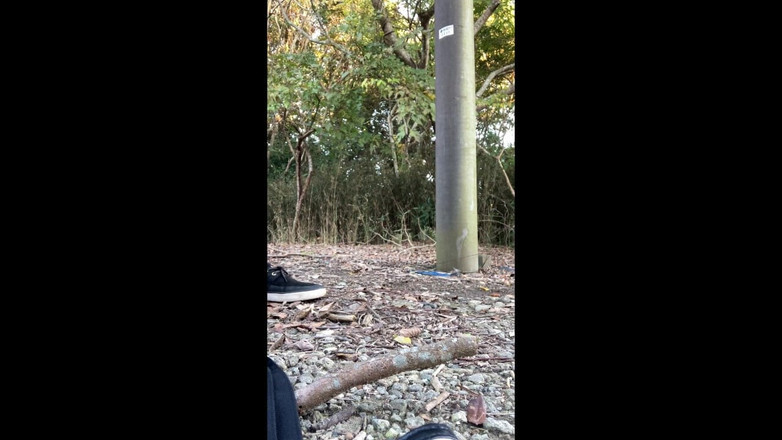 megu2002: Auto-treinamento No19 Exposure Home From the Park