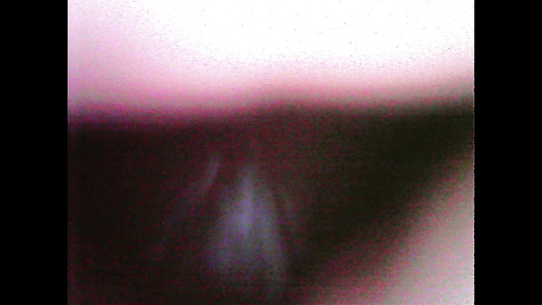 Lunaenma: あなたの中出し膣内のカメラパート2